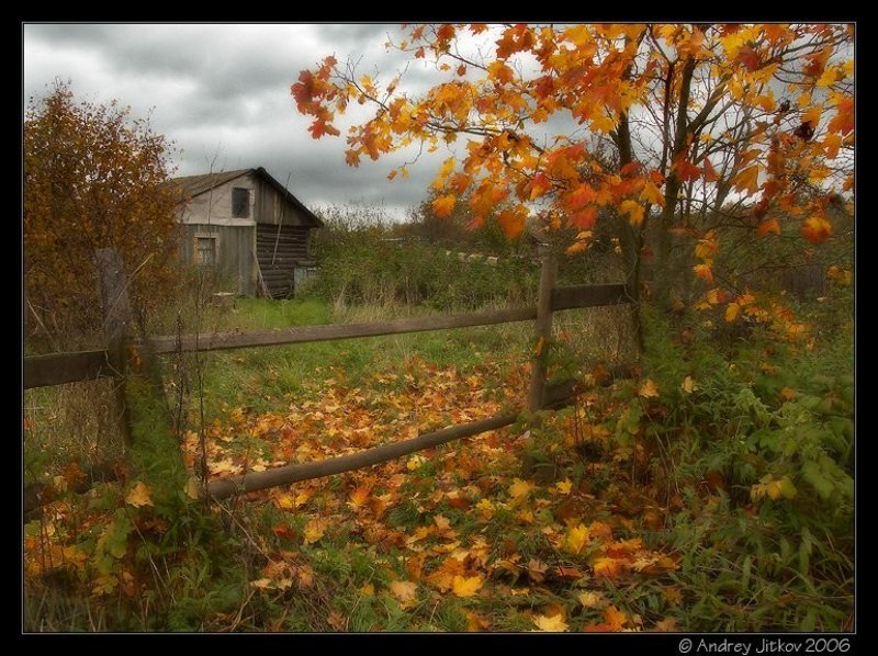подмосковье, богачево, осень, октябрь, листья, клен, домик, photohunter Пасмурный октябрь..photo preview