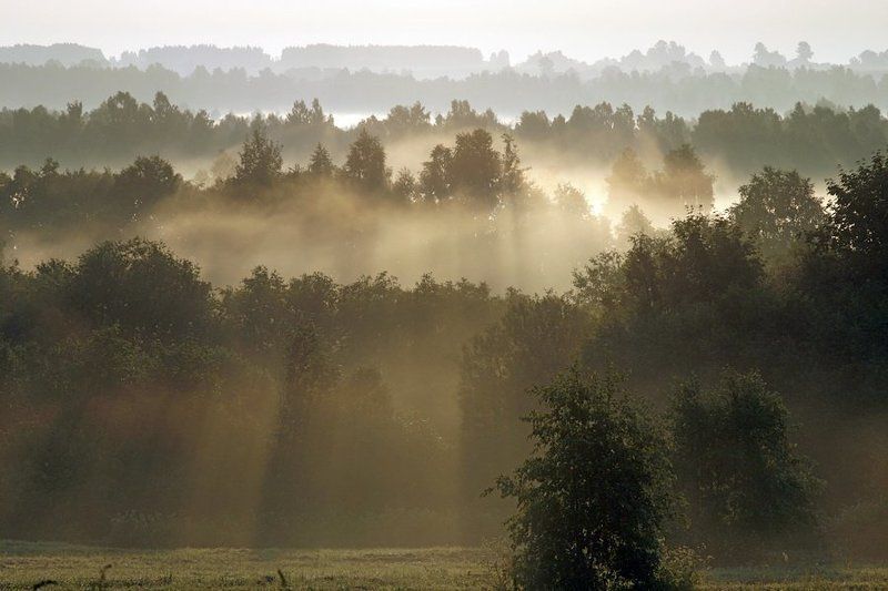 Мажорный аккорд утраphoto preview