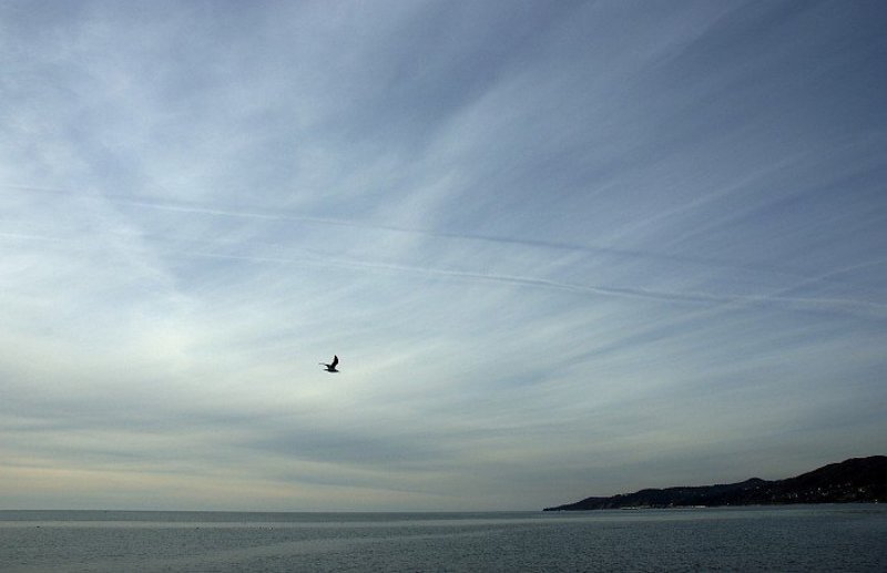 осень, море, просто, штиль photo preview