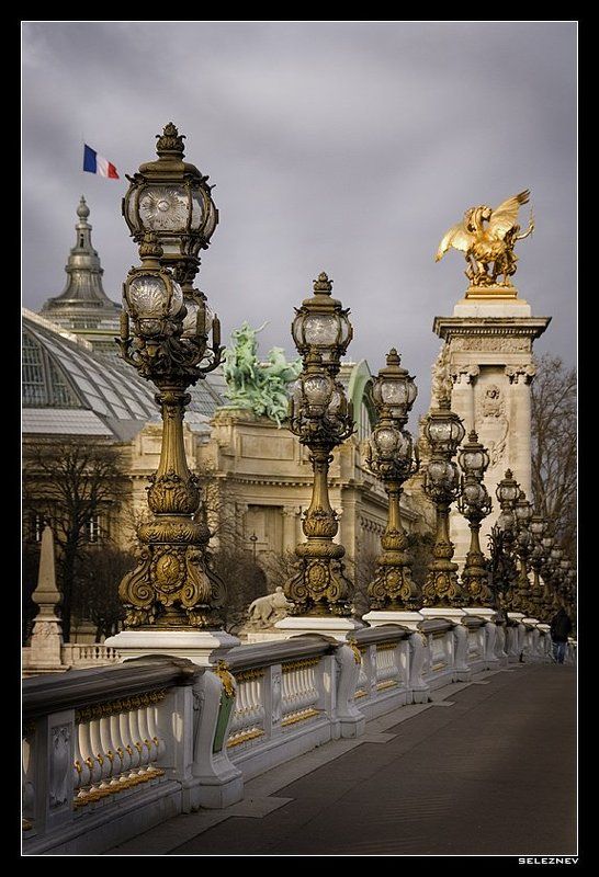 Paris, seleznev Pont Alexande IIIphoto preview