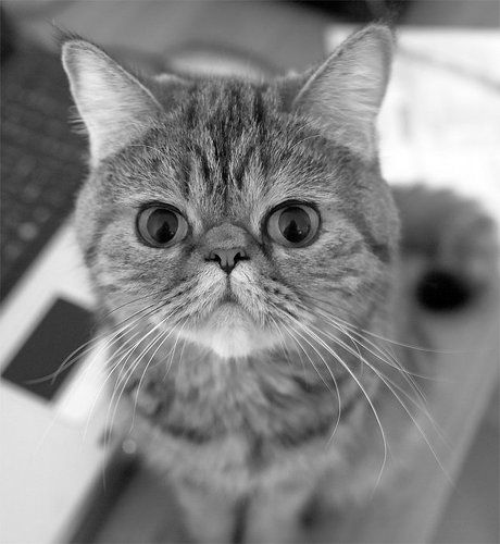 Let me show your world in my eyes