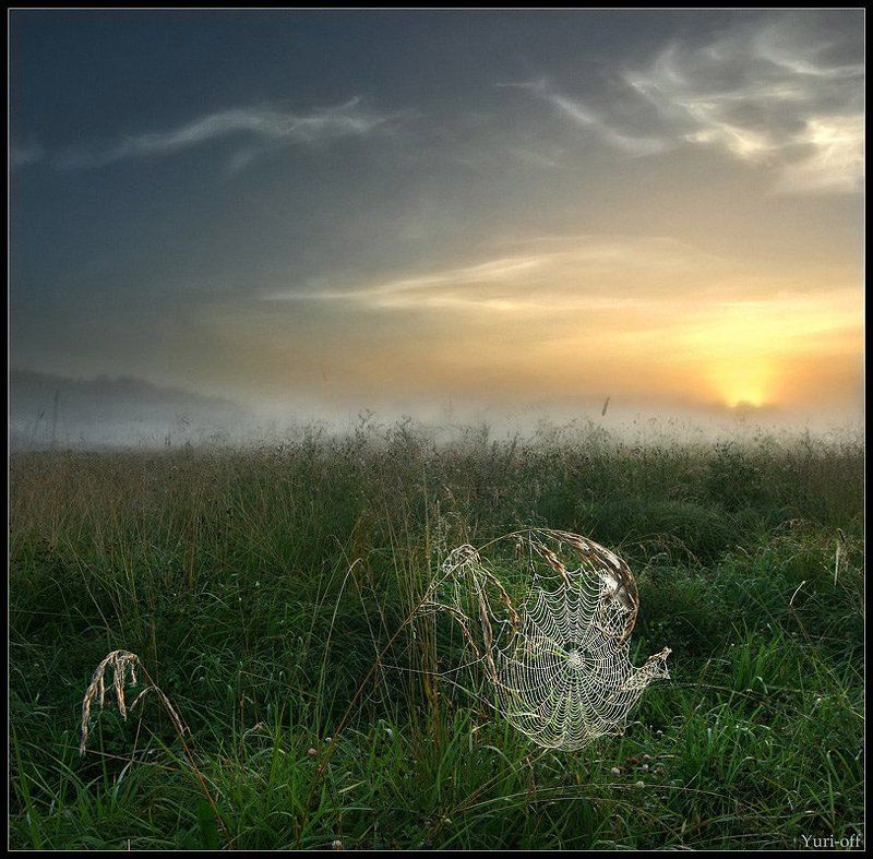 Восходная ПАУТИНА...photo preview