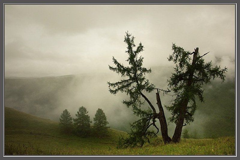 А в горах по утрам туман...photo preview