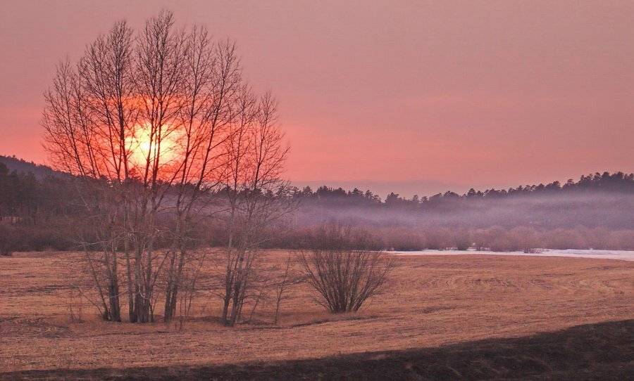 Автор: Олег Шубаров Бурятия, закат, снег, туман, дерево, Олег Шубаров