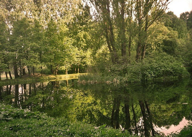 В старинном парке тихий пруд...photo preview