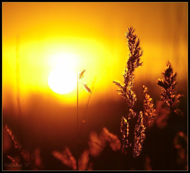 Такой вот сегодня закат... был.photo preview