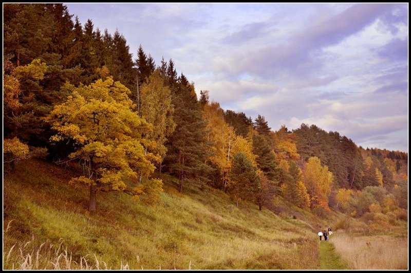 осень подмосковье photo preview