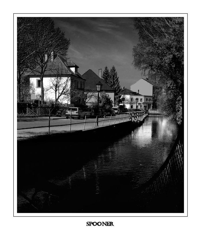 *  *  *photo preview