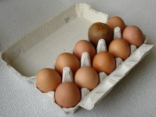 Кукушонок