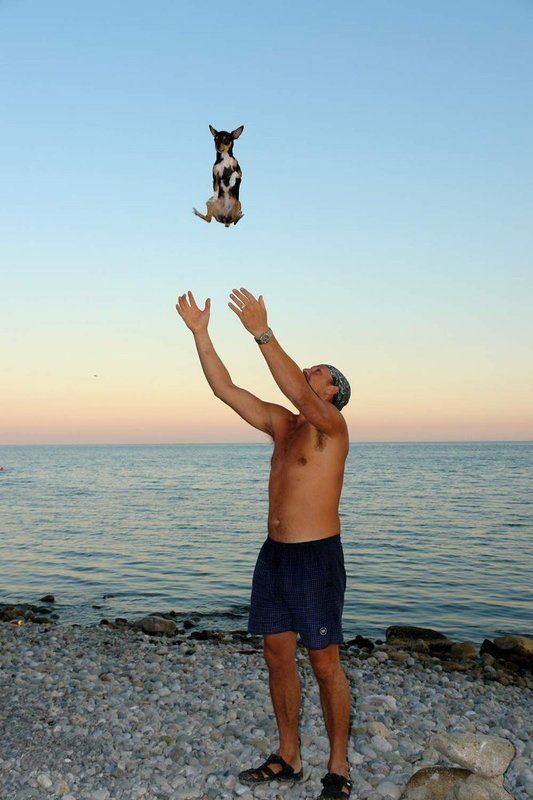 Вернись, я все прощу...photo preview