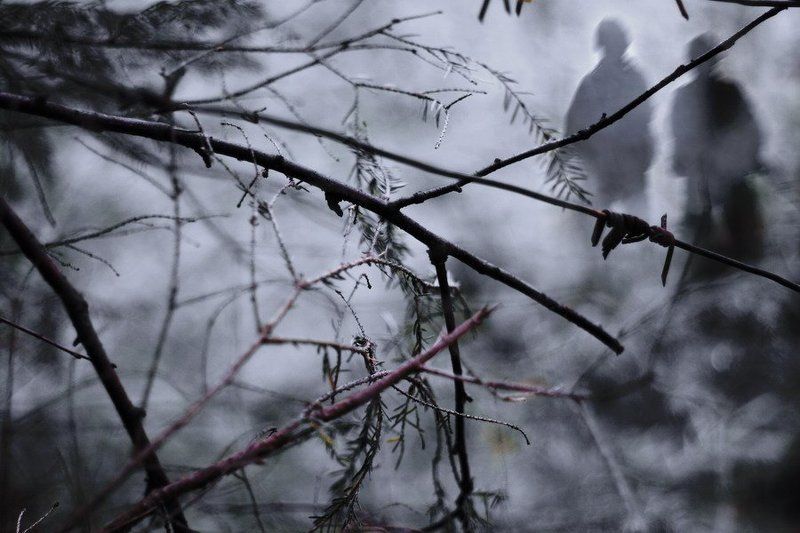 война, оставляет, следы Здесь была войнаphoto preview