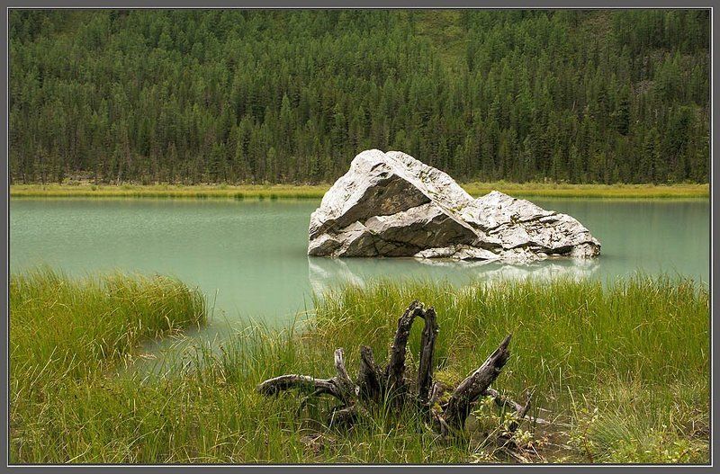 камни , горы , корни Корни и камниphoto preview