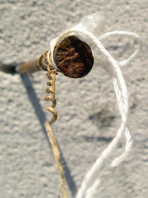 Симбиозphoto preview