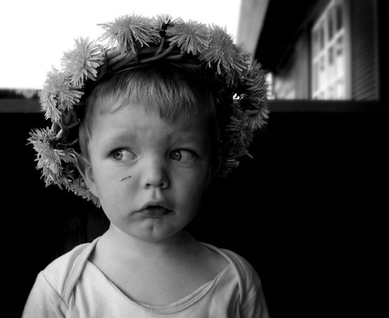 лето, мальчик, одуванчики Детские страхиphoto preview