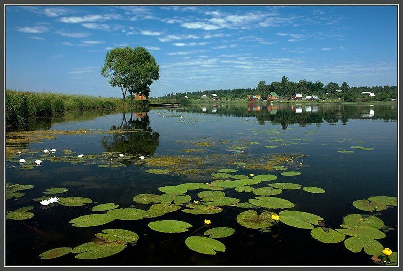 река , лето Лето в деревнеphoto preview