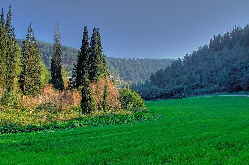 Зеленая планетаphoto preview