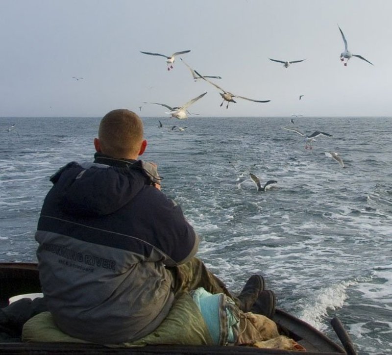 Прогулка, Завъялова Дорога домойphoto preview
