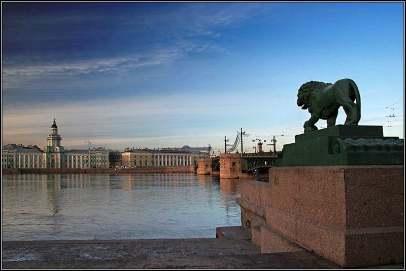 питер, петербург, город, памятник, лев, кунсткамера, мост, небо, река, нева, dyadyavasya Лев северных широтphoto preview