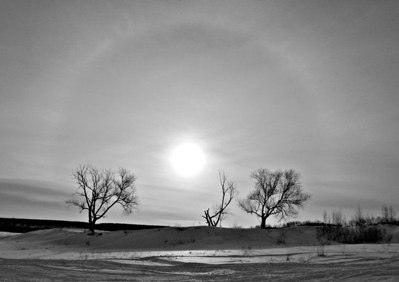 зима Зимний взглядphoto preview