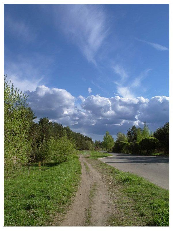 Сосновый Бор. Ленинградская областьphoto preview