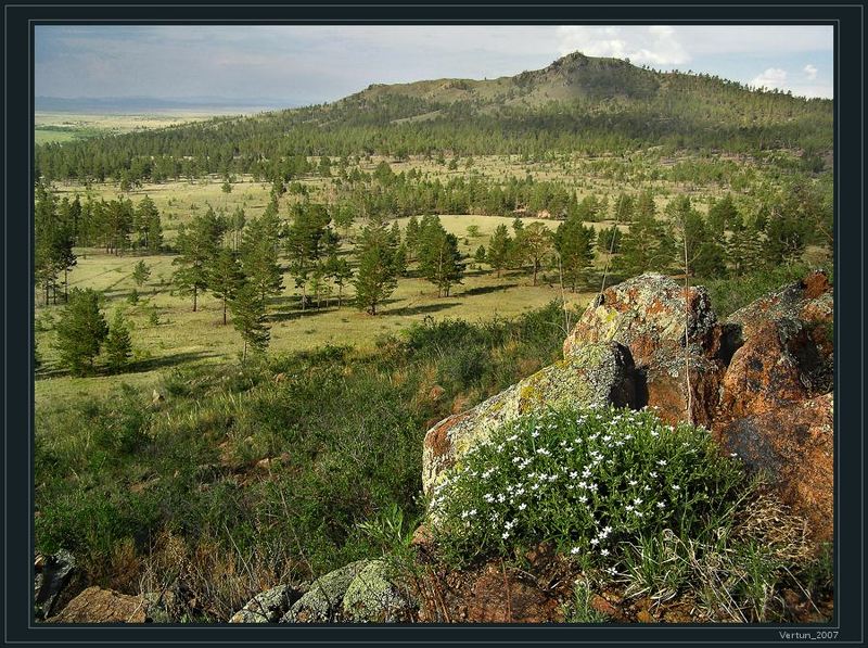 Глоток Гармонииphoto preview