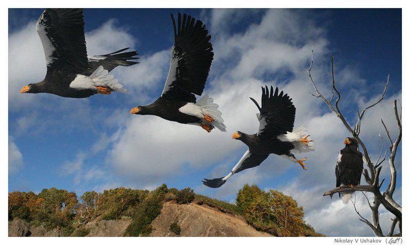 Две секунды - вечность!photo preview