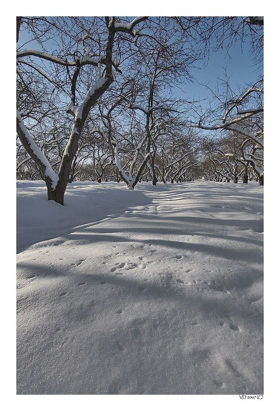 Коломенское.Фактураphoto preview