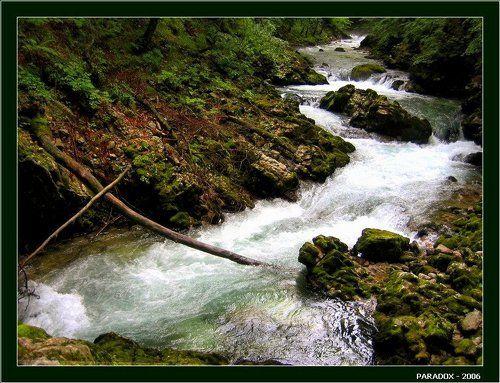 Хроника старинного ущелья, или осененное крестом