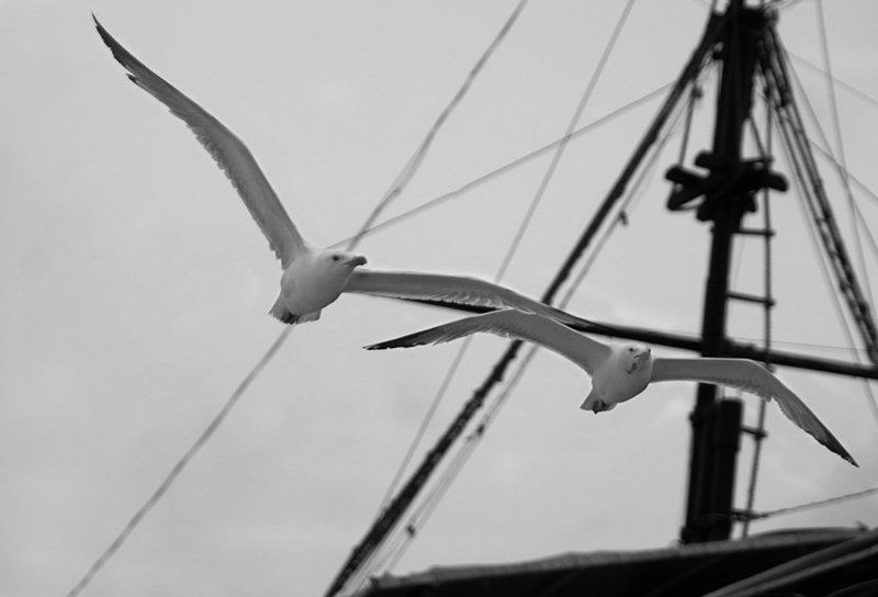 Разве мы не пара?photo preview