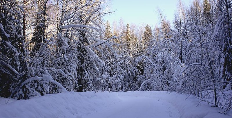 снег Коми мороз Снег на поворотеphoto preview