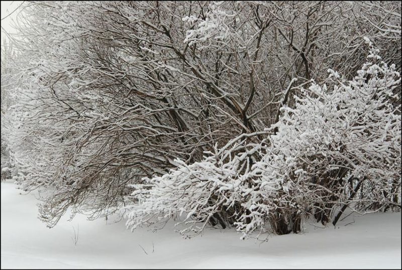 снег, зима, воробъевы горы photo preview
