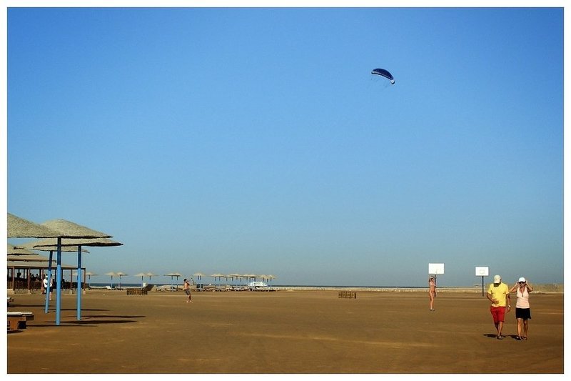 мальчики, девочки, змей, пляж Прогулки со змеемphoto preview