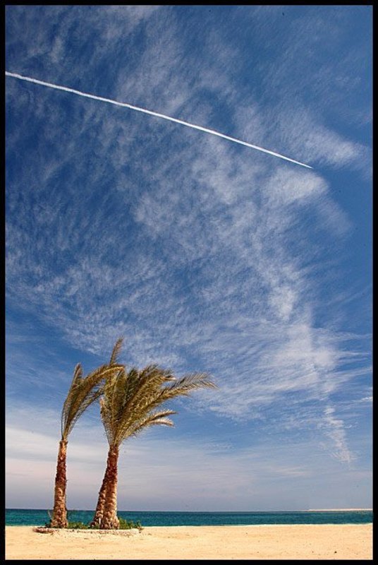 White stripphoto preview