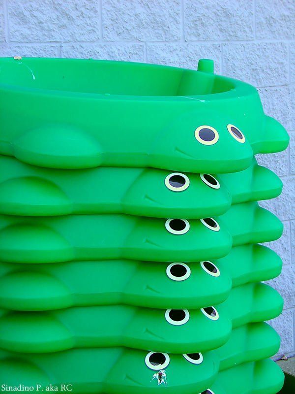 Лягушки Frogsphoto preview