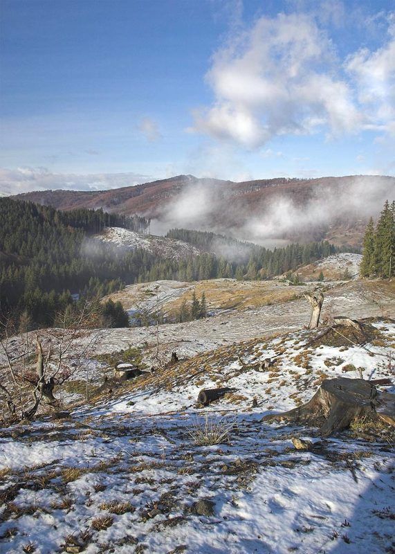 карпаты, горы photo preview