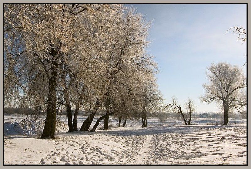 Зимаphoto preview