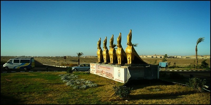 машинки, птички, пальмы GOLDEN 5 CITYphoto preview