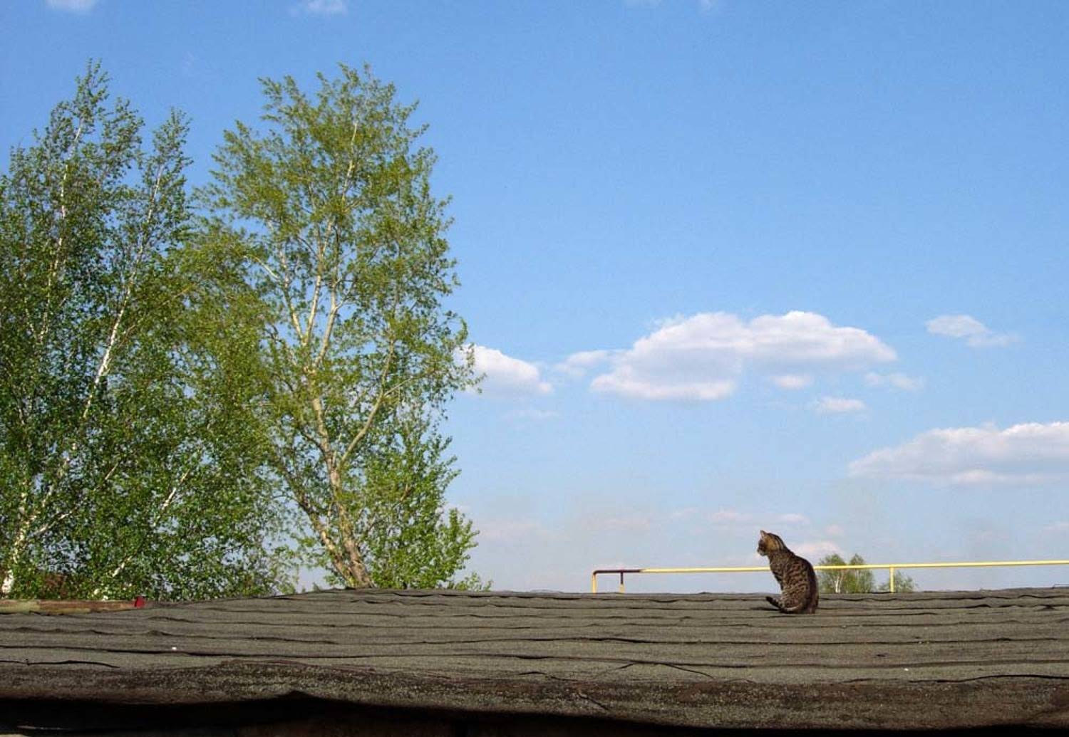 Там, за горизонтом.... Автор: Точка , Точка