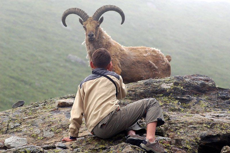 Фотограф и модельphoto preview