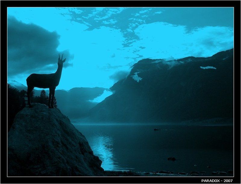 Словения Бохинь озеро вечер лодка PARADOX Вечерняя мелодия для серныphoto preview