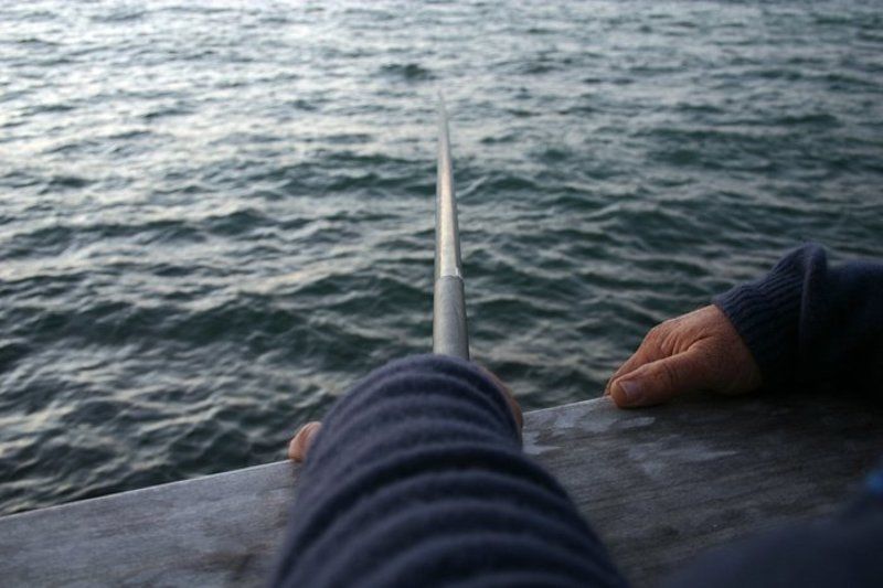 IgalSc, рыбалка, настроение О рыбной ловле...photo preview