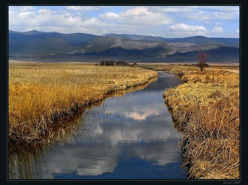Степная гармония