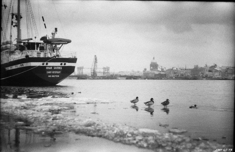 первый пошел!photo preview