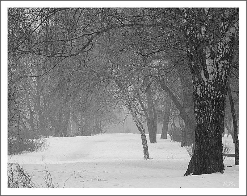 зима пруд А снег идет...photo preview