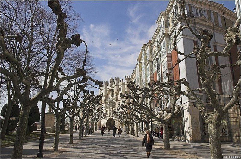Испания, Бургос, улицы, платаны, небо, городские ворота Бургос. Улицы.photo preview