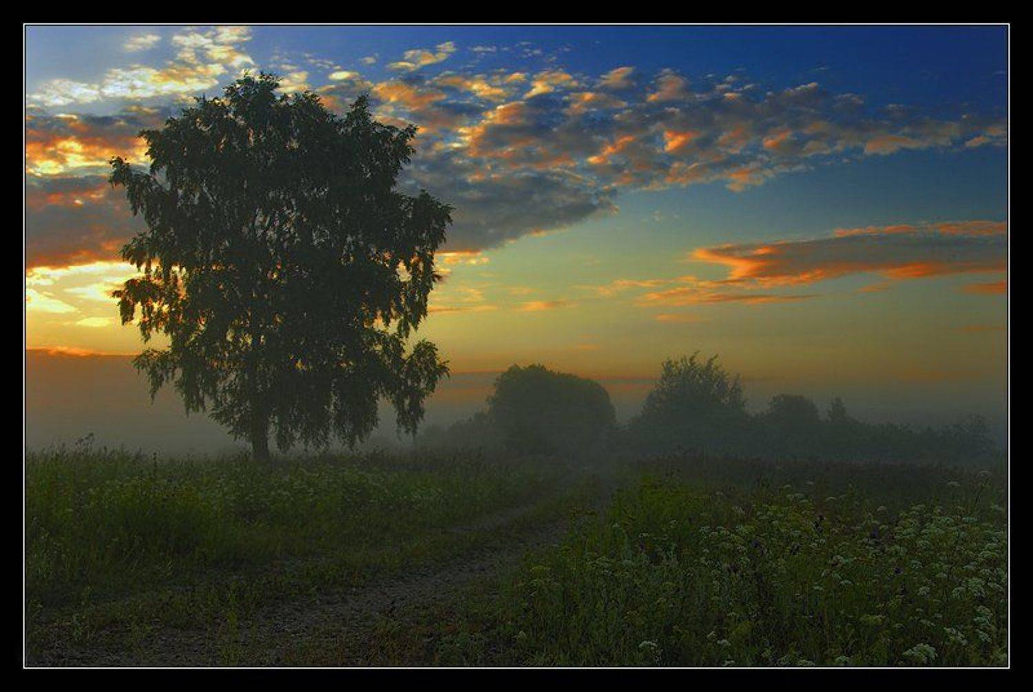 Туман утро рассвет дорога береза, Геннадий Романов