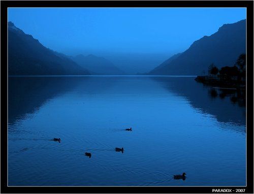 Озерное шоу без маленьких лебедей