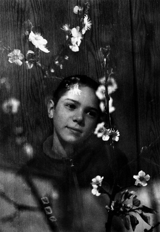 Звон колокольчиковphoto preview