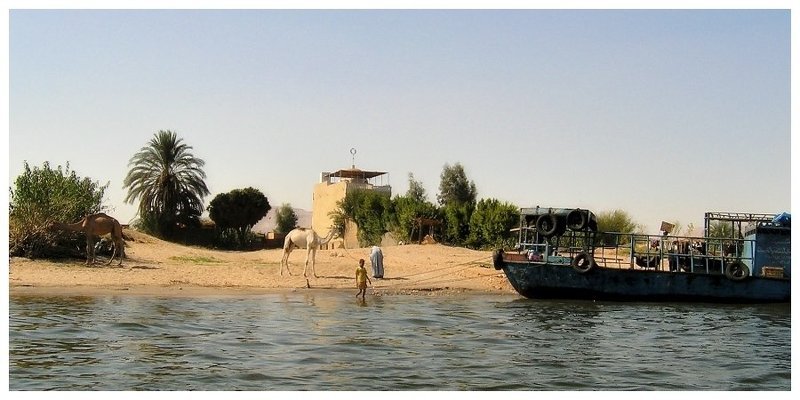 верблюд, мальчик, пальма, р. Нил, баржа Образы колониальной жизниphoto preview