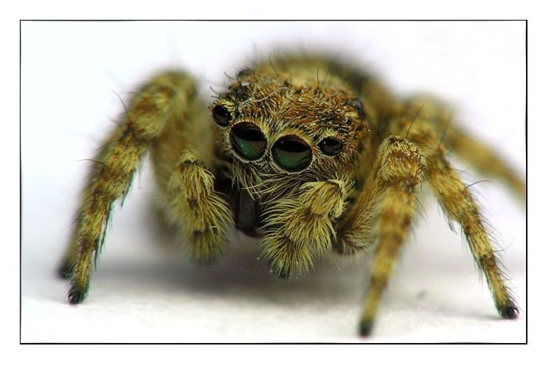 как mini Cooperphoto preview